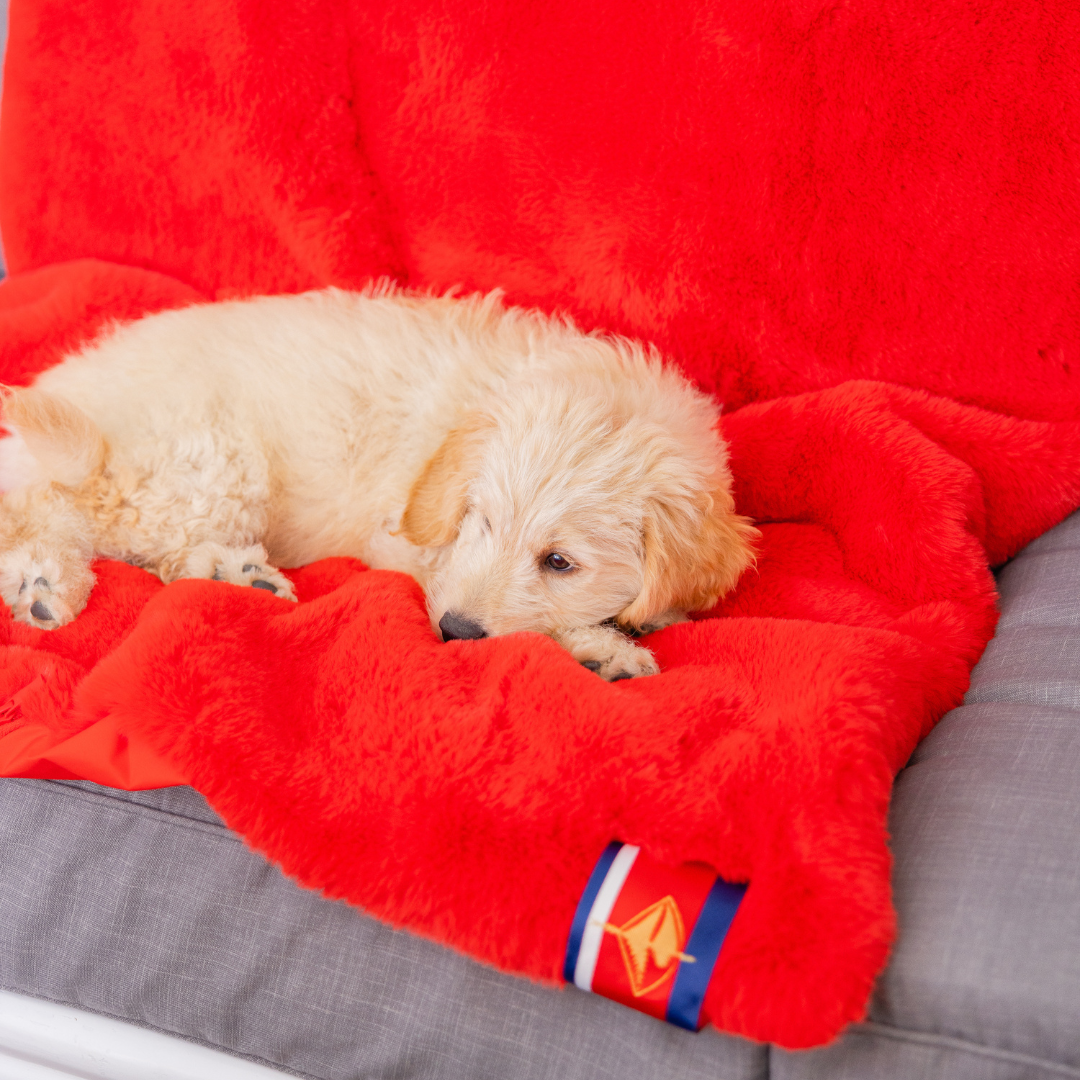 Red Faux Fur Sporty Long Lap Blanket