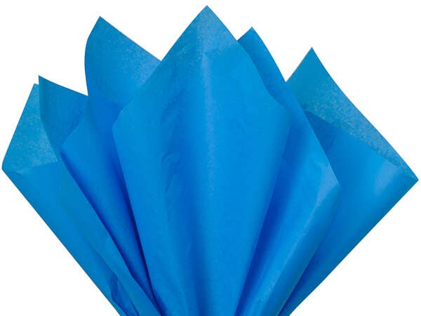 Color Tissue Paper 20X30" 24 Sheet Pack