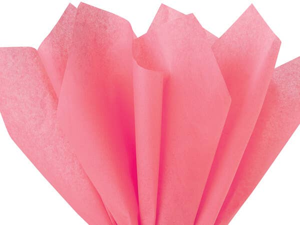 Color Tissue Paper 20X30" 24 Sheet Pack