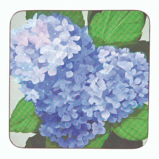 BLUE HYDRANGEA Square Coasters, Set of 4