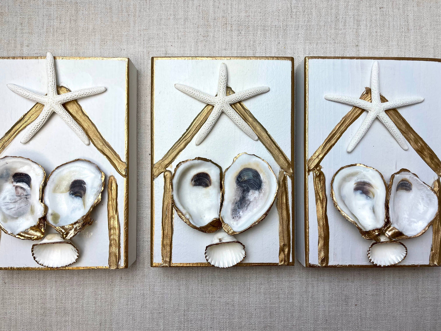 Oyster nativity