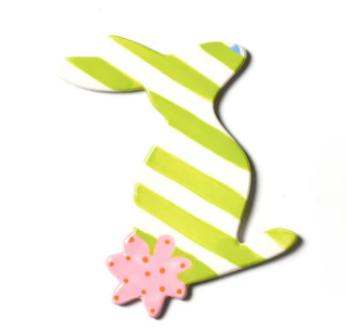 Rabbit MINI