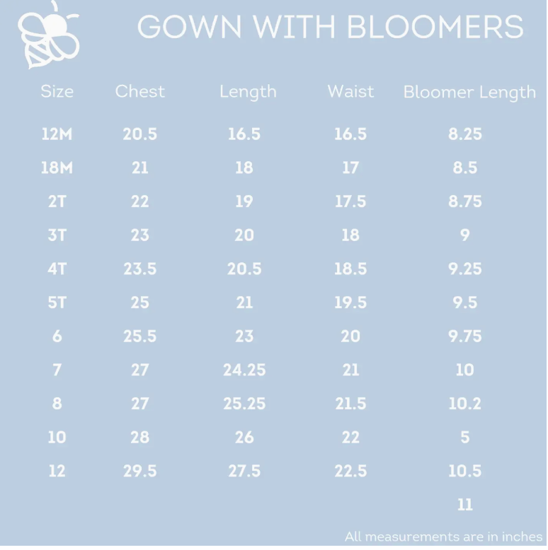 Vintage Santa GOWN w/ Bloomers