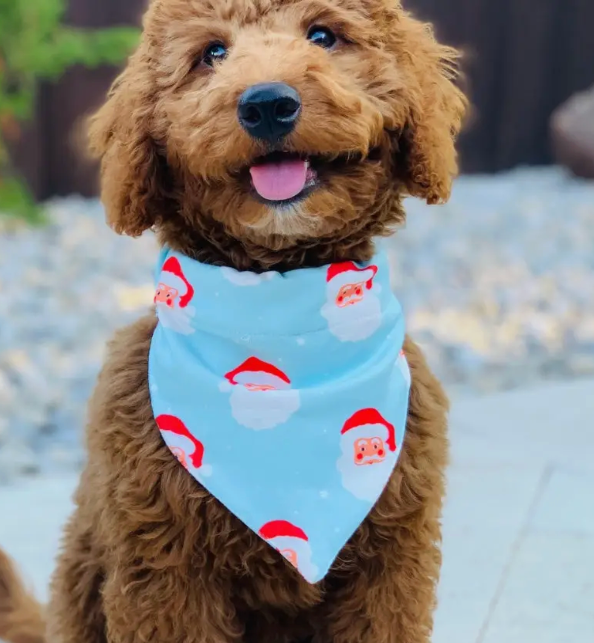 Vintage Santa Pet Bandana