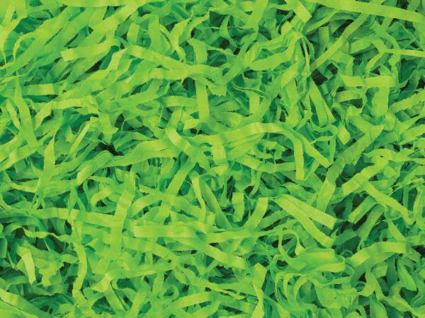 Recycled Paper Tissue Shreds