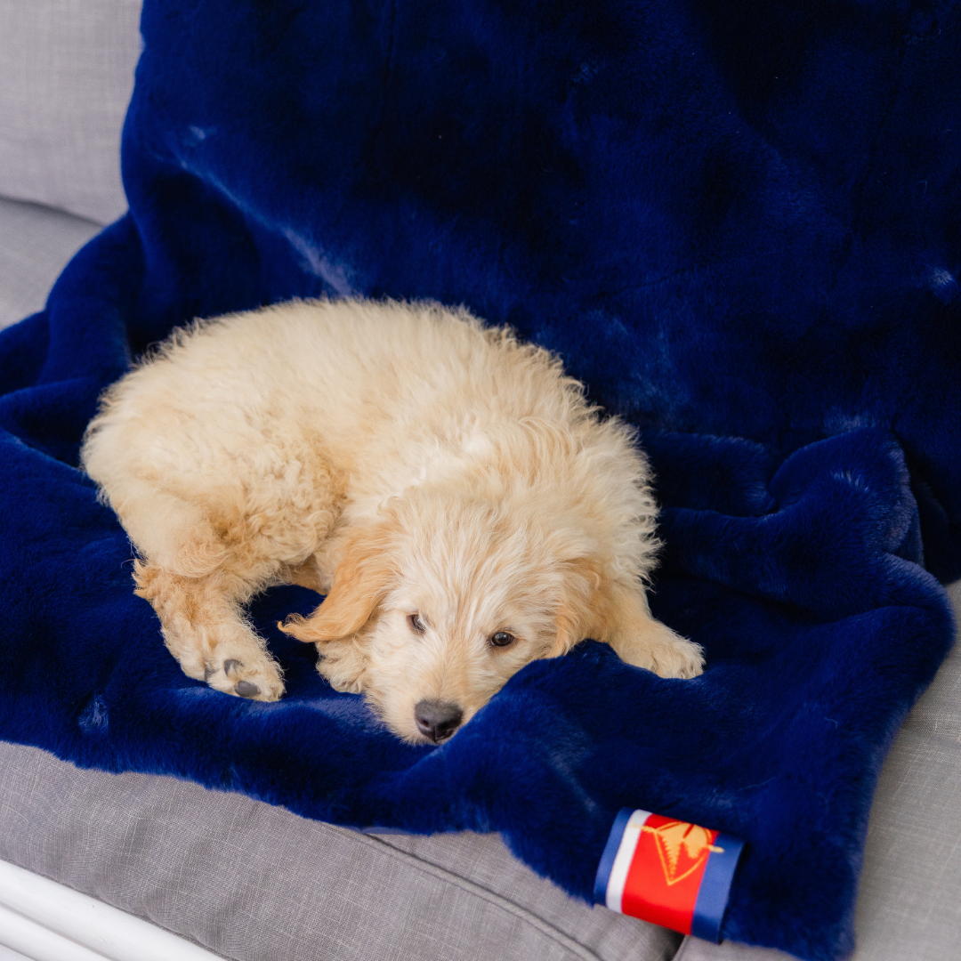 Marine Faux Fur Sporty Long Lap Blanket