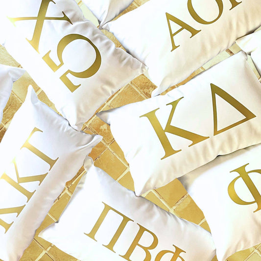 Sorority Faux Leather Pillows