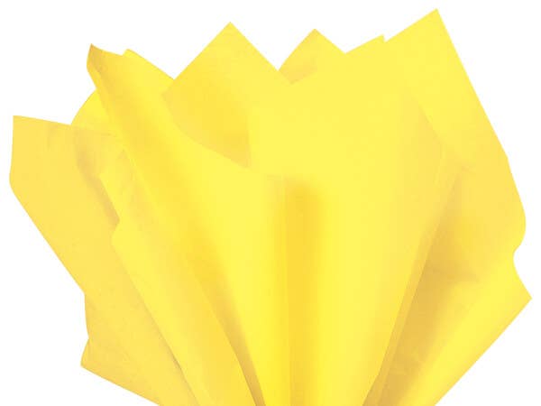 Color Tissue Paper 20X30" 24 Sheet Pack